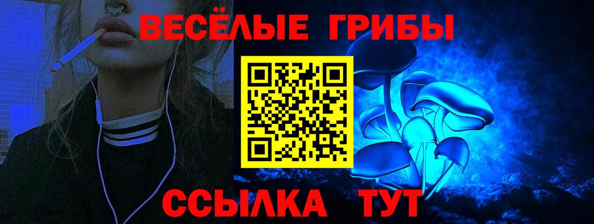 дарнет шоп  Вход с VPN  Спасск-Дальний  Галлюциногенные грибы ЛСД 